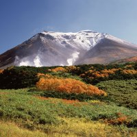 Asahi – KPG-Payless2 / Shutterstock