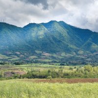 Negros – Alexie The Media Guy / Shutterstock