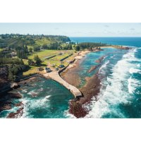 Norfolk – Stef Wrote This / Shutterstock