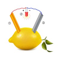 Příklad elektrochemického článku: (1) měděná elektroda, (2) LED světlo, (3) zinková elektroda – CoJeCo.cz / Fouad A. Saad / Shutterstock