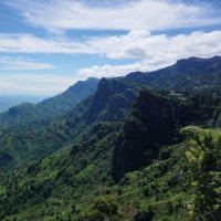 Usambara – Mya2019  / Shutterstock