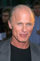 Ed Harris, Los Angeles (17.9.2008) – s_bukley / Shutterstock