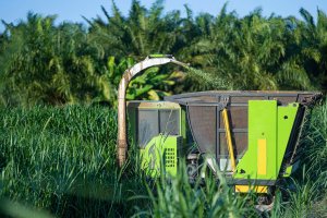 Kombajn sklízející sloní trávu (Cenchrus purpureus; syn. Pennisetum purpureum) – sandyman / Shutterstock
