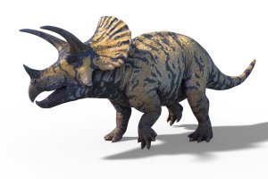 Triceratops (3D rekonstrukce) – Veronika Surovtseva / Shutterstock