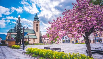 Liptovský Mikuláš – zedspider / Shutterstock