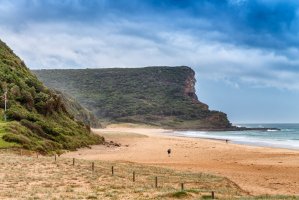 Royal National Park – GagliardiPhotography / Shutterstock