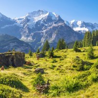 Bernské Alpy – Renata Sedmakova / Shutterstock