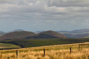 Cheviot Hills – Crepesoles / Shutterstock