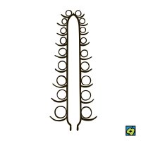 Palice, schematické znázornění druhu květenství – CoJeCo.cz, CC BY 4.0