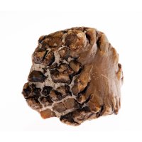 Agalmatolit – Pedal to the Stock / Shutterstock