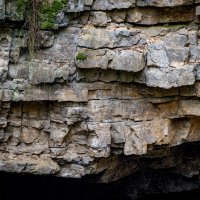 Vápenec – Dietrich Leppert / Shutterstock