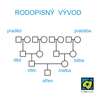 Rodopisný vývod, schéma (příklad 3 generací předků) – CoJeCo.cz (CC BY SA 4.0)