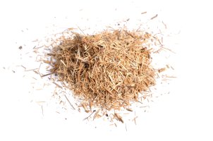 Pazdeří – spline_x / Shutterstock