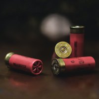 Brokové náboje – David Levêque / Unsplash