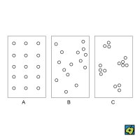 Různé typy rozptylu (disperze) jedinců v populaci: (A) pravidelný, (B) náhodný nepravidelný, (C) shloučený (agregace jedinců) – CoJeCo.cz (CC BY-SA 4.0)