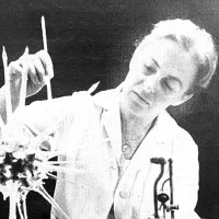 Věra Lišková – fair use