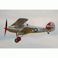 Hawker Fury – Kev Gregory / Shutterstock
