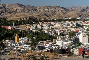 Taza – Xavier Llauger Dalmau / Shutterstock