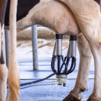 Dojicí stroj – yod 67 / Shutterstock