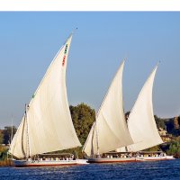 Feluka – meunierd / Shutterstock