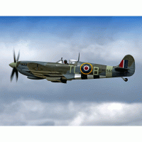 Supermarine Spitfire LF.Mk IXE – Andrew Harker / Shutterstock