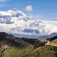 Nilgiri – Wirestock Creators / Shutterstock