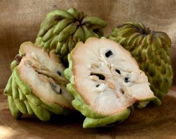 Atemoya, plod – itaci / Shutterstock