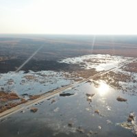 Ngami – Bashi Kikia / Shutterstock