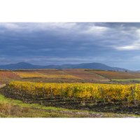 Mátra – Richard Semik / Shutterstock