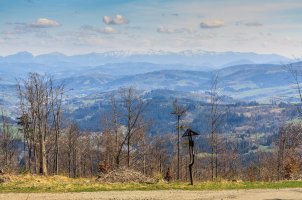 Polom – Iwoiwoiwa / Shutterstock