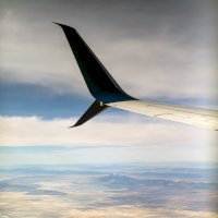 Varianta wingletu split-tip za letu – Patrick Hendry / Unsplash