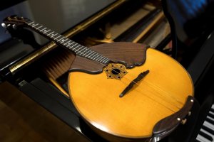 Domra – Profimedia.CZ