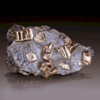 Pyrit (Helcmanovce, Slovensko) – Albert Russ / Shutterstock