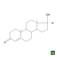 Testosteron, strukturní 2D vzorec – CoJeCo.cz (CC BY-SA 4.0)