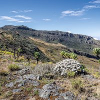 Elgon – Stephen Butler / Shutterstock