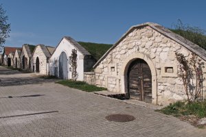 Vinné sklepy v Purbachu – Karel Stipek / Shutterstock