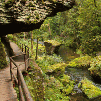 Řeka Kamenice – Karel Stipek / Shutterstock