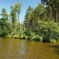 Gardno – BBaron / Shutterstock