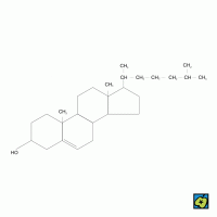 Cholesterol, strukturní vzorec – CoJeCo.cz (CC BY-SA 4.0)