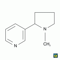 Nikotin, strukturní vzorec – CoJeCo.cz (CC BY-SA 4.0)