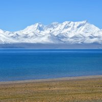 Tangla – Ovchinnikova Irina / Shutterstock