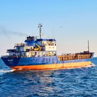 Obchodní loď, Bospor, Istanbul, Turecko (9.7.2018) – Alvaro German Vilela / Shutterstock