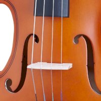 Houslová kobylka – All Music Instruments / Shutterstock