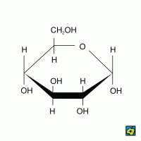 Glukosa, strukturní vzorec – CoJeCo.cz (CC BY-SA 4.0)
