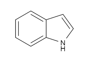 Indol, strukturní 2D vzorec – CoJeCo.cz (CC BY-SA 4.0)