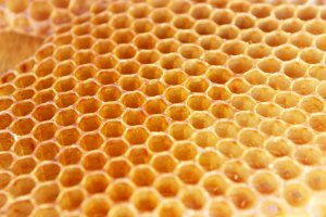 Včelí plást – Vita Serendipity / Shutterstock