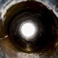 Drážkovaná hlaveň (s vývrtem) – R. Lemieszek / Shutterstock