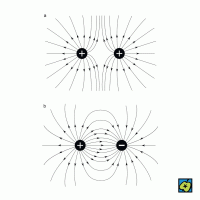 Elektrický náboj: a) silové pole dvou stejných elektrických nábojů, b) silové pole dvou stejně velkých opačných nábojů – CoJeCo.cz (CC BY-SA 4.0)