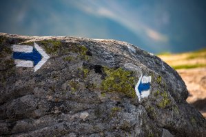 Turistické značky slouží lidem k orientaci v terénu – Diachuk Vasyl / Shutterstock