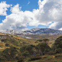 Kosciusko – Greg Brave / Shutterstock